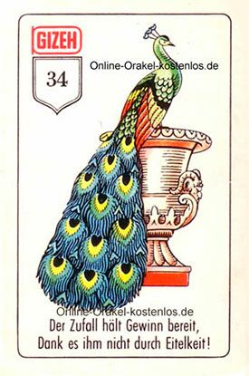 der Pfau Gizeh Orakel - der Pfau - Online Orakel kostenlos
