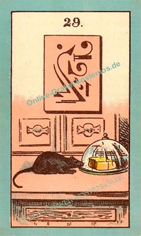 Mystisches Orakel - Maus - Online Orakel kostenlos Horoskop
