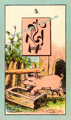 Mystisches Orakel - Schwein - Online Orakel kostenlos Horoskop