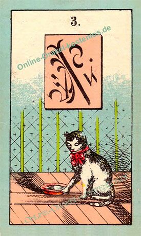 Mystisches Orakel - Katze - Online Orakel kostenlos Horoskop